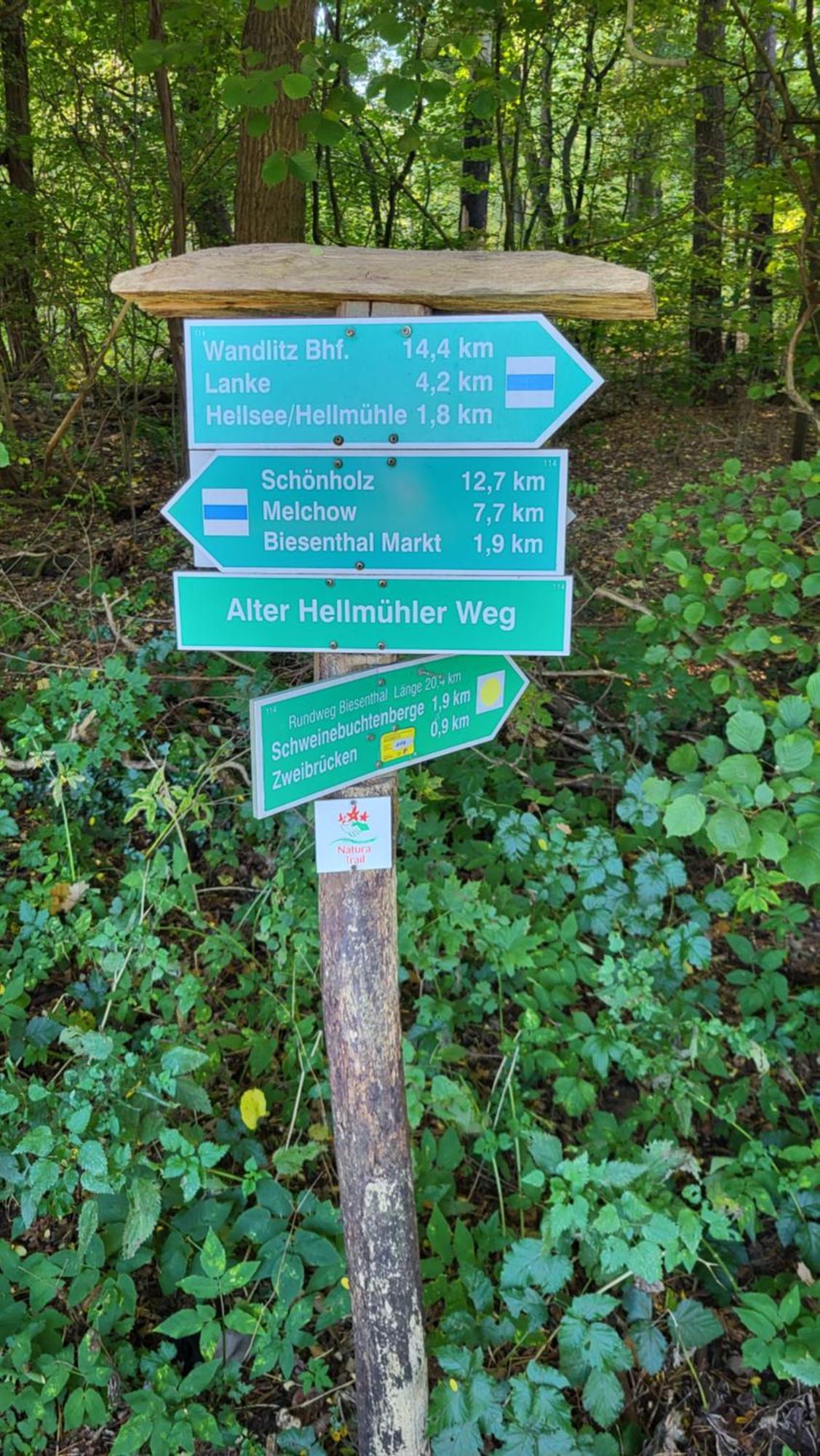 Finnhuette Zwischen Wald Und See Biesenthal 외부 사진